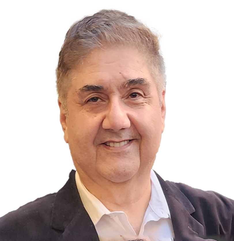 Shahin Motallebi